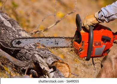 A  lumberjack working with a chainsaw