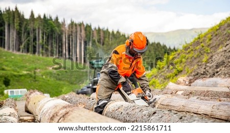Lumberman work wirh chainsaw in the forest. Deforestation, forest cutting concept. Woodcutter lumberjack is man chainsaw tree. Woodcutter saws tree chainsaw on sawmill.