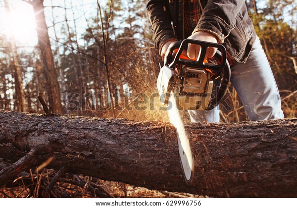 Lumberman work wirh\
chainsaw in the\
forest\

