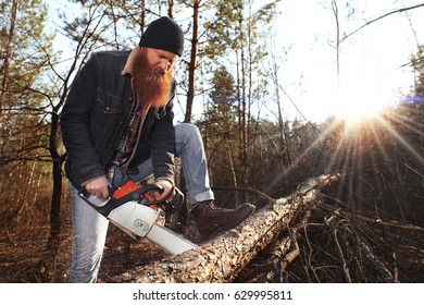 Lumberman Workoing With Chainsaw In The Forest