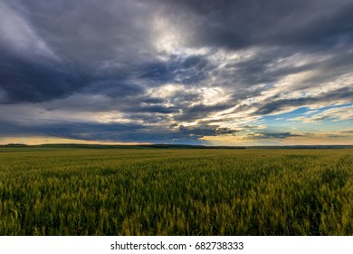 144 Lumen field Images, Stock Photos & Vectors | Shutterstock