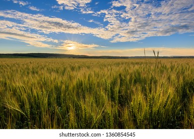 Lumen In The Clouds Over The Young Green Rye Or Wheat Field On A Summer Evening. Sunset Scene. Landscape.