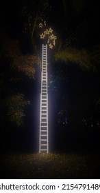 Lumina Park Poznań- Lighten Ladder Display