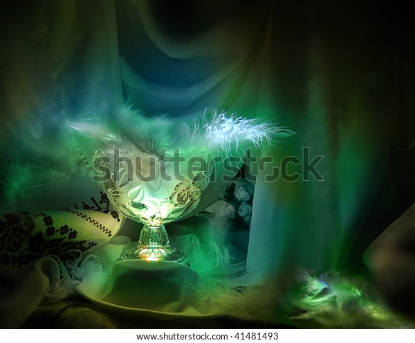 Luminous Darkness Vase White Feathers Stock Photo Edit Now 41481493