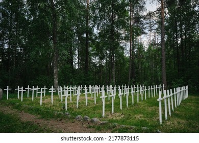 Lumivaara, Republic Of Karelia. Old Abandoned Finnish Cemetery In Russia. White Wooden Crosses Stand In Row And Green Manicured Lawn. Among The Dense Green Forest. Burial Culture.