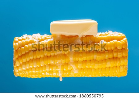 A lump of butter is melted on hot cooked corn. A large ear of yellow corn is shown against a light blue background. Food levitation. Creative concept with food.