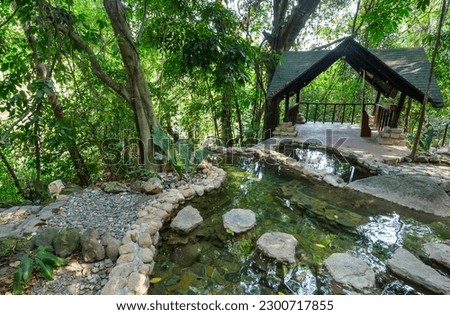 Luna Jaguar Hot Springs in Honduras