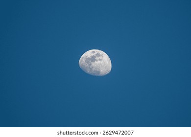 The lunar beauty, a serene celestial body glows in the dark blue expanse of the night sky. - Powered by Shutterstock - Get 15% off with code: PIKWIZARD15