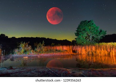 lunar eclipse night
