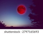 Lunar eclipse, stars and planets above landscape silhouettes.