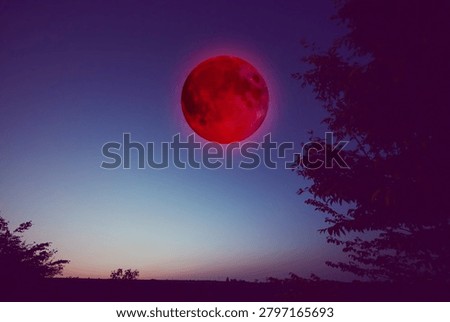 Lunar eclipse, stars and planets above landscape silhouettes.