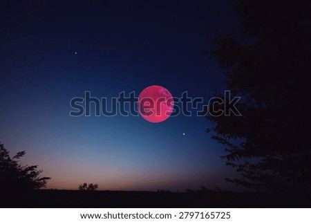 Lunar eclipse, stars and planets above landscape silhouettes.