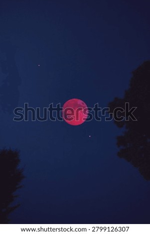 Lunar eclipse, stars and planets above landscape silhouettes.
