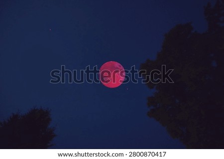 Lunar eclipse, stars and planets above landscape silhouettes.
