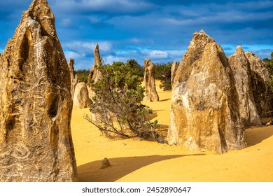 Lunar lanscape of the Pinnacles Desert at Nambung National Park, Western Australia, Australia. - Powered by Shutterstock