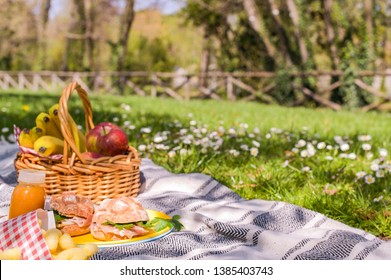 Lunch in the park on the green grass. Summer sunny day and picnic basket