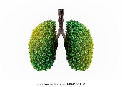 Green Lung Images, Stock Photos &amp; Vectors | Shutterstock