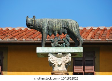 Lupa Capitolina, The Symbol Of The Roman Empire, Pisa, Italy