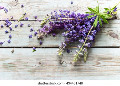Lupine flowers on a wooden background