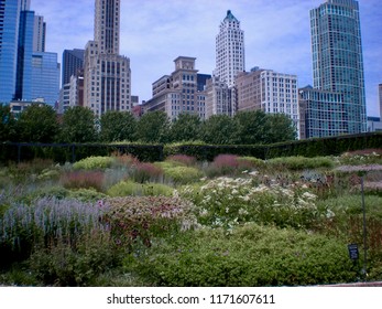 Lurie Garden - Millenium Park Chicago                               