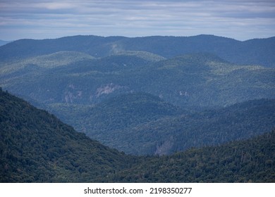 Lush Boreal Forest Panorama View Top Stock Photo 2198350277 | Shutterstock