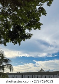 Lush canopy frames a celestial expanse, painted with wandering cloud formations above a subtle