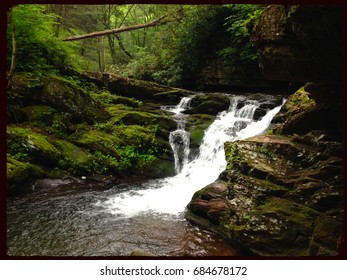 A Lush Cascade