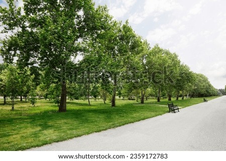 Lush city park and beautiful garden with lawn, park bench and walking path