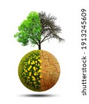 Lush and dry planet with tree isolated on a white background. Concept of change climate or global warming.