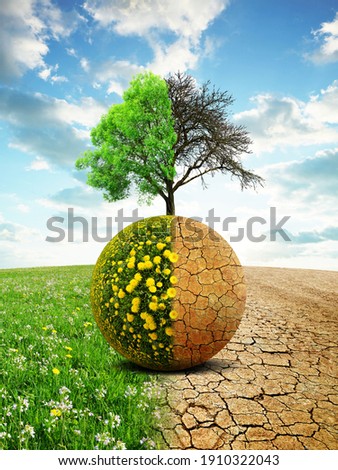 Lush and dry planet with tree in the landscape with cracked soil. Concept of change climate or global warming.