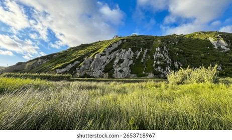 Lush emerald slopes bask under a whimsical sky, perfect for Solstice picnics, botanical meditations, or Earths Day reverie