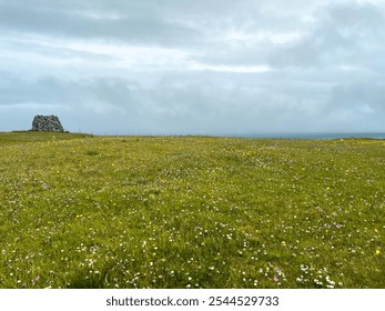 Lush Field of green grass on top of a mountain overlooking the North Atlantic Ocean. A rock formation can be seen in the Distance. Located on the Scandinavian island of Nólsoy within the Faroe Islands - Powered by Shutterstock