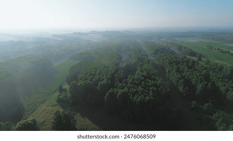 Lush fields and small forests under foggy skies