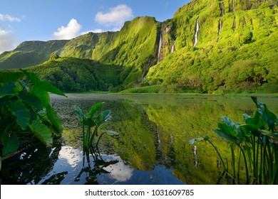 Flores Island Azores High Res Stock Images Shutterstock