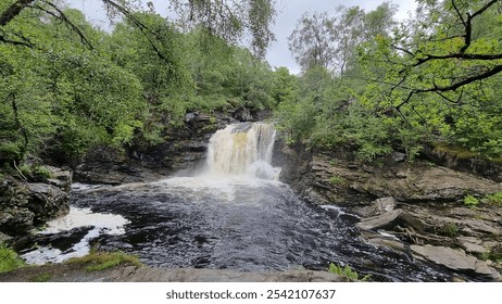 A lush forest scene with a waterfall cascading into a dark pool, surrounded by green trees and rocky cliffs. - Powered by Shutterstock