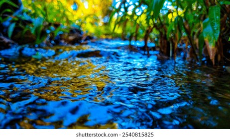 Lush forest, sunlight, flowing stream, mossy rocks, peaceful natural beauty - Powered by Shutterstock