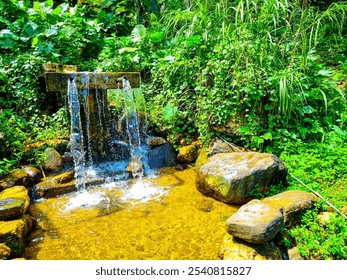 Lush forest, sunlight, flowing stream, mossy rocks, peaceful natural beauty - Powered by Shutterstock