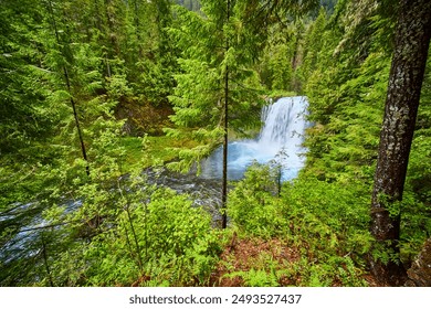 Lush Forest Waterfall Cascading into Blue Pool from Elevated View - Powered by Shutterstock