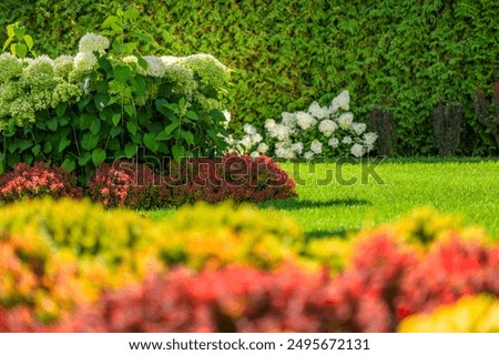A lush garden showcases an array of vibrant flowers in full bloom, including white hydrangeas and colorful shrubs. The greenery thrives under bright sunlight