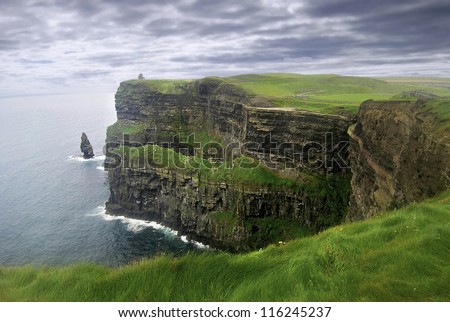 Lush Grass at Cliffs of Moher in Ireland