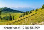 Lush green alpine pasture along hiking trail to the top of mountain peak Dobratsch, Villacher Alps, Carinthia, Austria, Europe. High mountain ranges in background. Tranquil wanderlust atmosphere