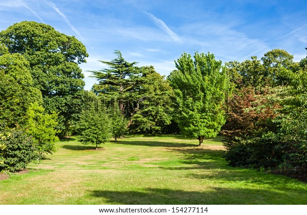 Lush Green Beautiful Woodland Park Garden Stock Photo (Edit Now) 154277114