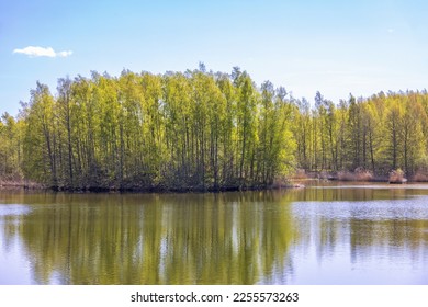 Lush green birch trees on a island at springtime - Shutterstock ID 2255573263