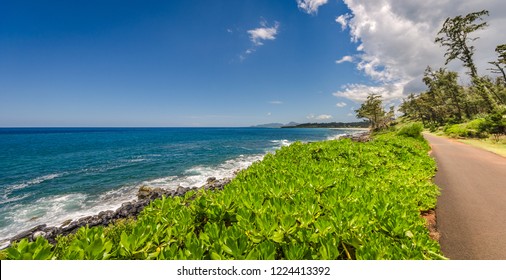 Lush green bushes growing next to a paved bike path/walkway along the coast in Kauai, Hawaii, USA
