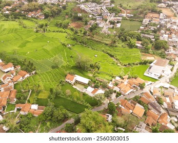 Lush green crops surrounded by houses in the countryside. Aerial shot of residential district and paddy fields. Panoramic rural landscape. Agricultural industry. Wallpaper Backgrounds - Powered by Shutterstock