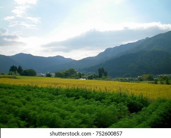 A lush green field is in the foreground. An older crop is in the next paddock. Some houses can just be seen in the valley. Mountains are in the distance. The sky is hazy, with white and grey clouds. - Shutterstock ID 752600857