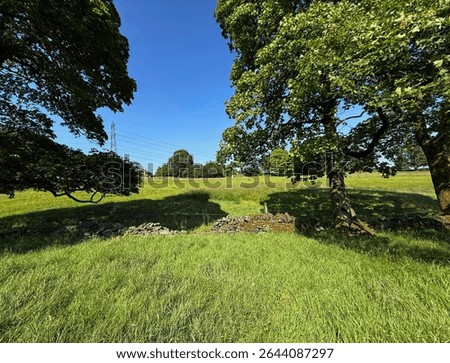 Lush green fields stretch under a clear blue sky, framed by mature trees casting strong shadows on the ground. A low stone wall runs through the landscape, close to, Coley Road, Hipperholme, UK