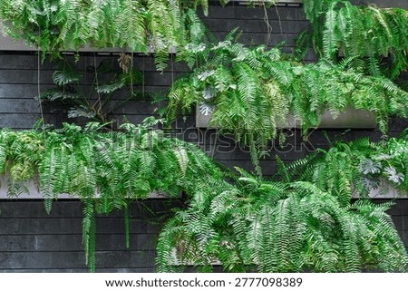 Lush green foliage covering structured wall natural texture representing eco design sustainability biophilic architecture and integration of nature into modern interior space