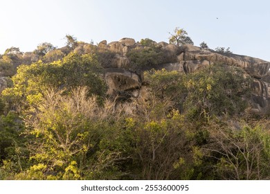 Lush green foliage frames a rugged rocky landscape as the sun sets, casting a warm glow over the trees and boulders at a natural reserve. - Powered by Shutterstock