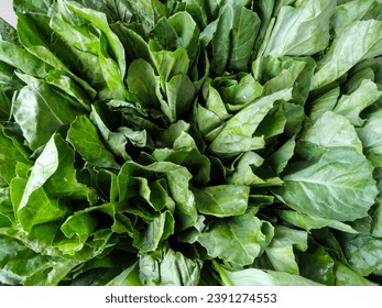 Lush Green Foliage of Fresh Kai-lan or Chinese Kale Vegetable (Brassica Oleracea Var. Alboglabra)
